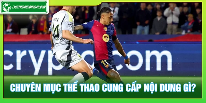 Chuyên mục thể thao cung cấp nội dung về bóng đá