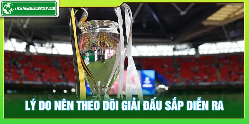 Người xem nắm bắt lịch giải đấu sắp diễn ra tránh bỏ lỡ